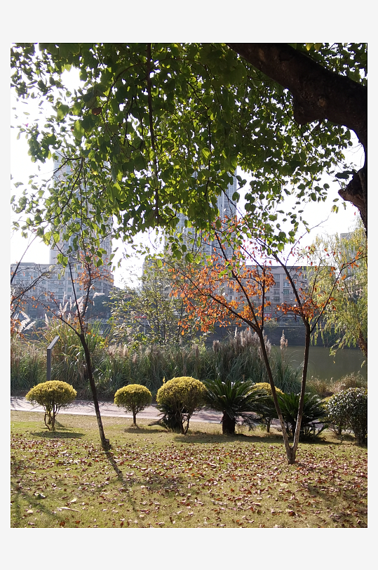 城市户外自然风光-众图网