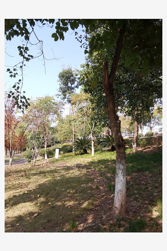 城市户外自然风光-众图网