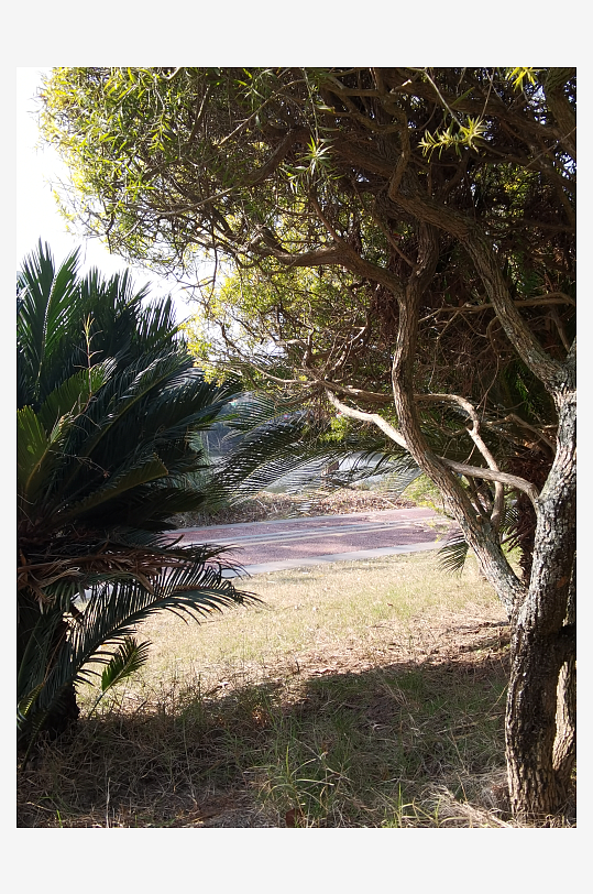 城市户外自然风光-众图网