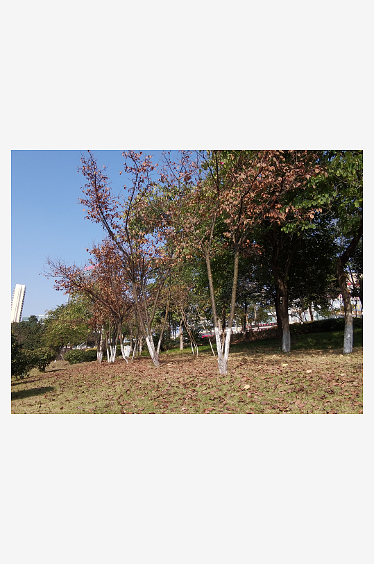 城市户外自然风光-众图网