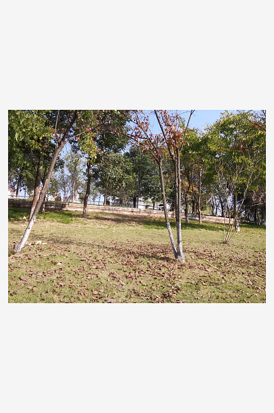 城市公园自然风光-众图网