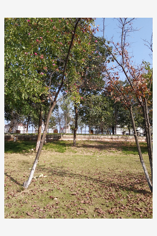 城市公园自然风光-众图网