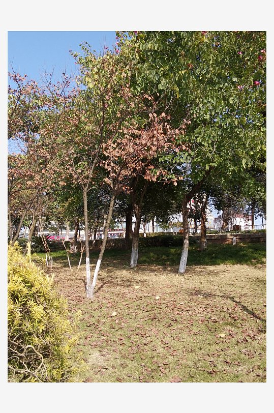 城市公园自然风光-众图网