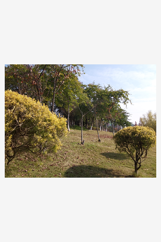 城市公园自然风光-众图网