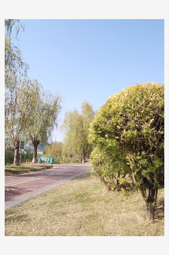 城市公园树木草地-众图网