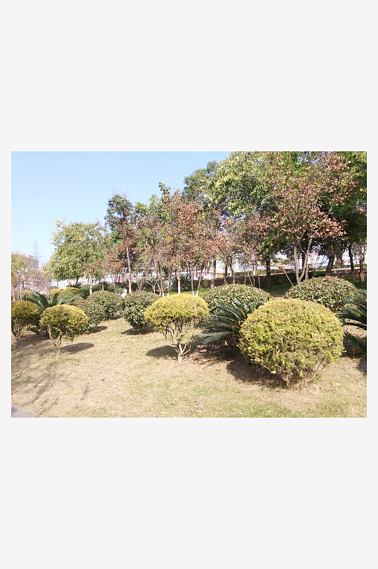 绿意盎然的冬日公园-众图网