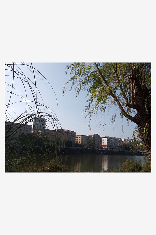 绿意盎然的冬日公园-众图网