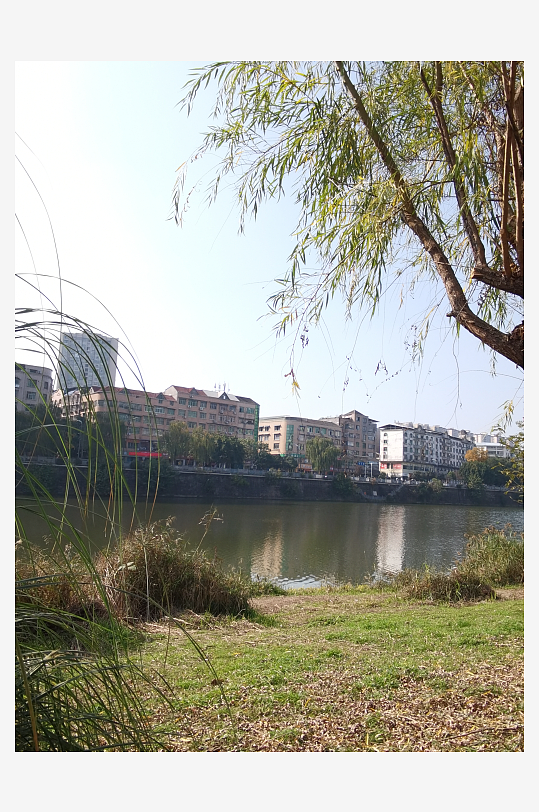 绿意盎然的冬日公园-众图网