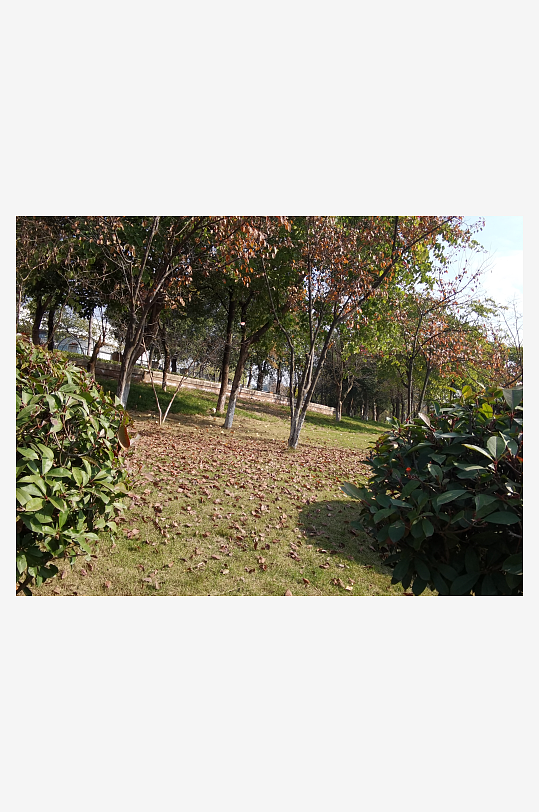 绿意盎然的城市公园-众图网