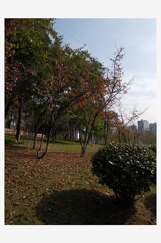 绿意盎然的城市公园-众图网