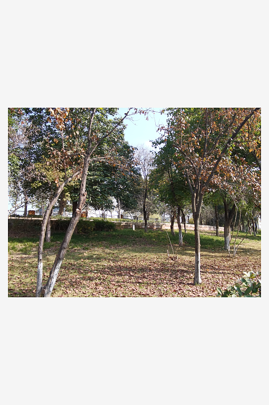 绿植环绕的城市公园-众图网