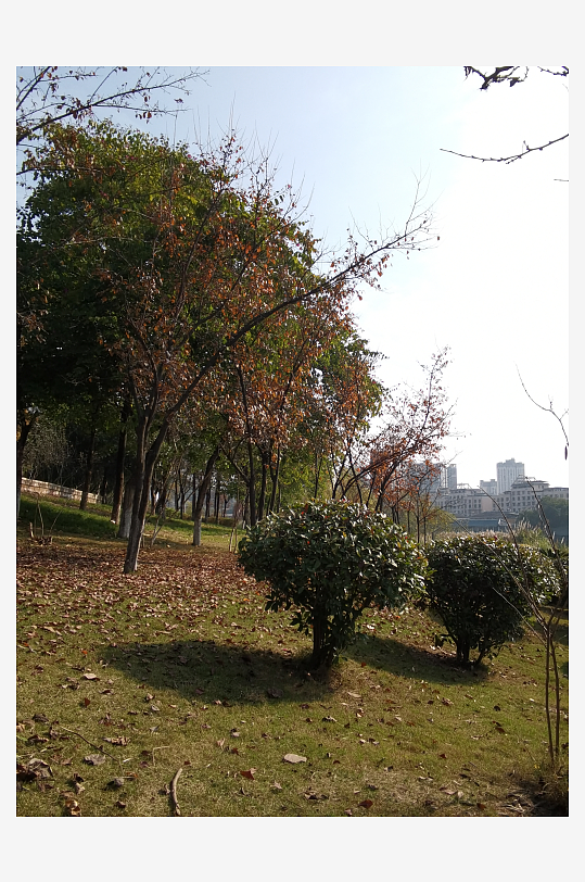 绿植环绕的城市公园-众图网