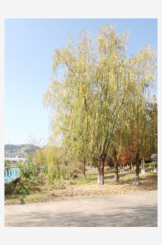 绿植环绕的城市公园-众图网