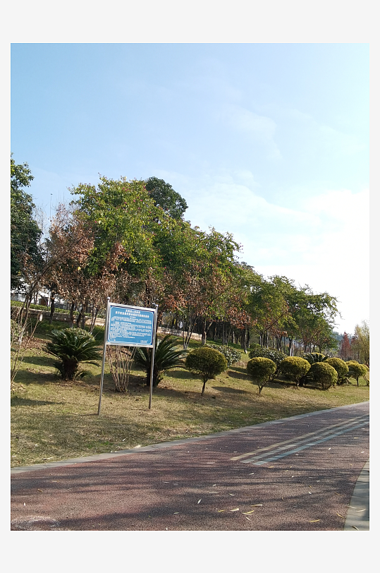 绿植环绕的城市公园-众图网