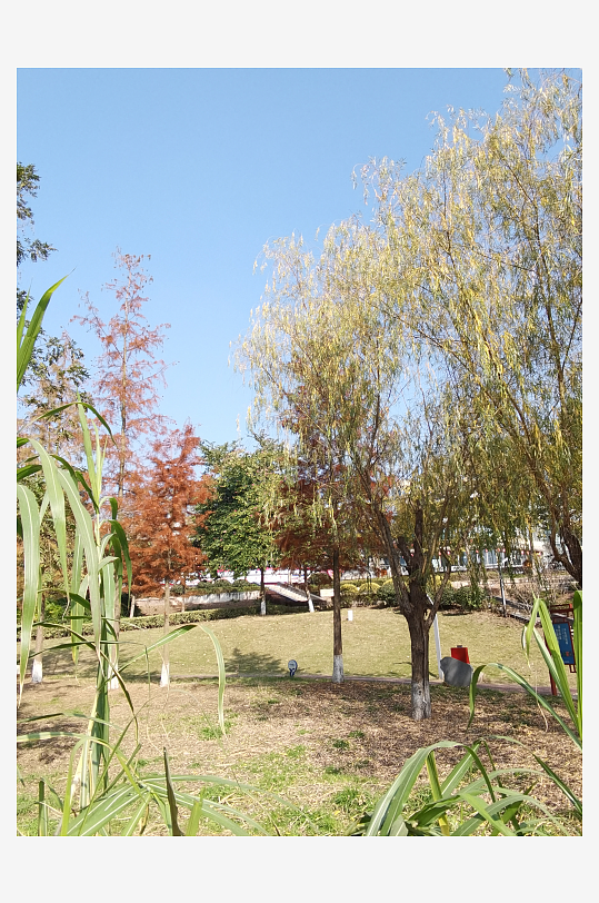 绿植环绕的城市公园-众图网