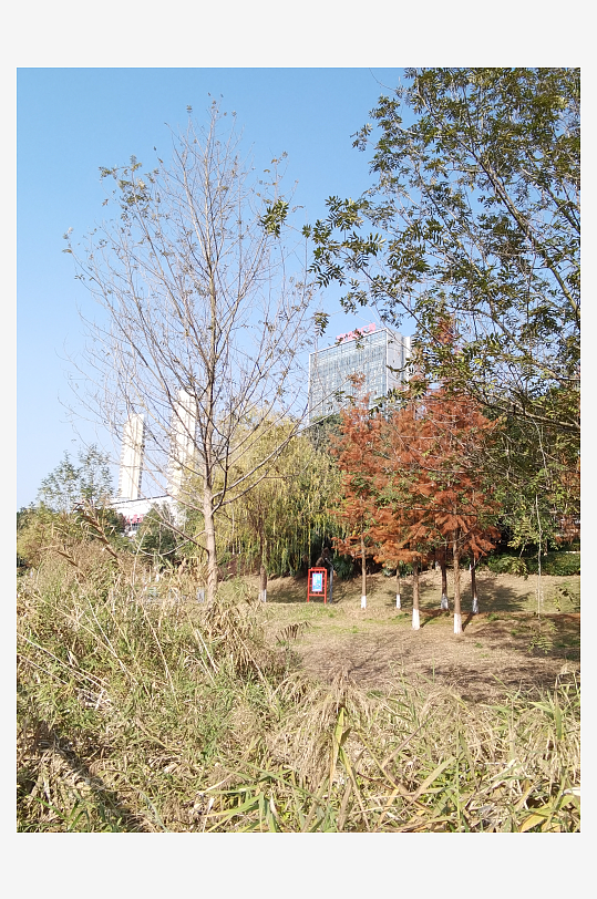 休闲宜居的城市公园-众图网