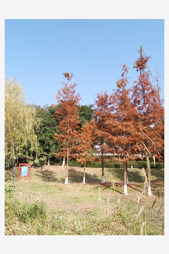 休闲宜居的城市公园-众图网