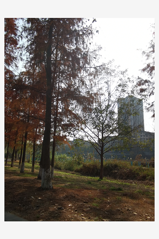 休闲宜居的城市环境-众图网