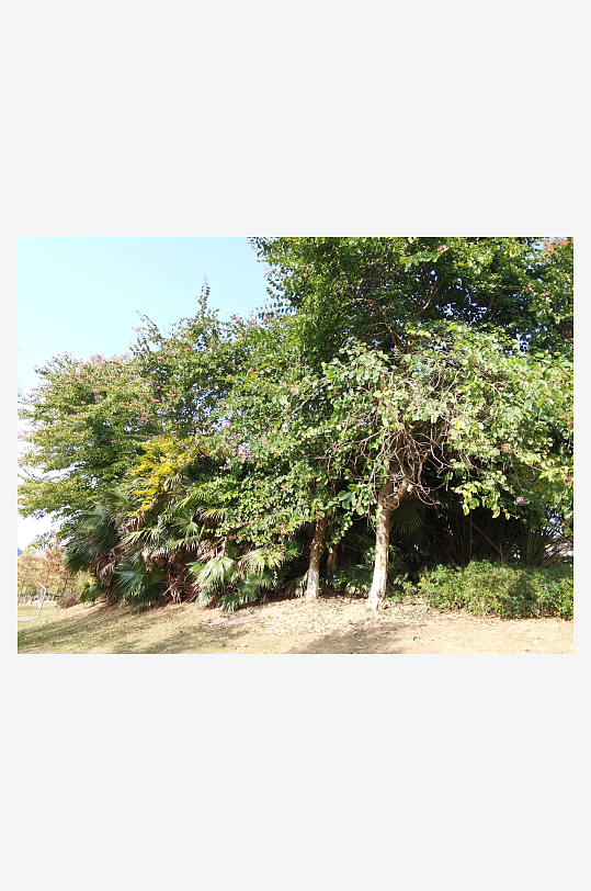 休闲宜居的城市环境-众图网