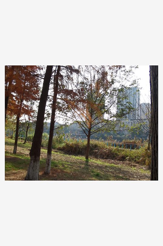 休闲宜居的城市环境-众图网