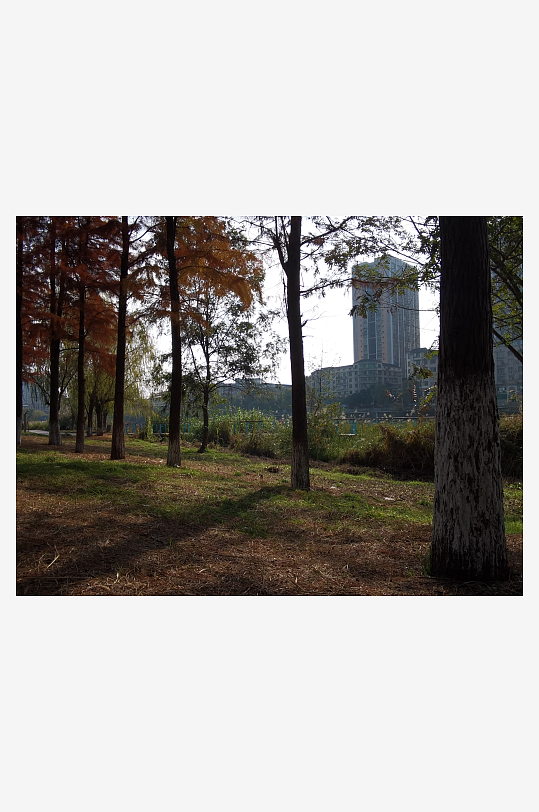 休闲宜居的公园环境-众图网