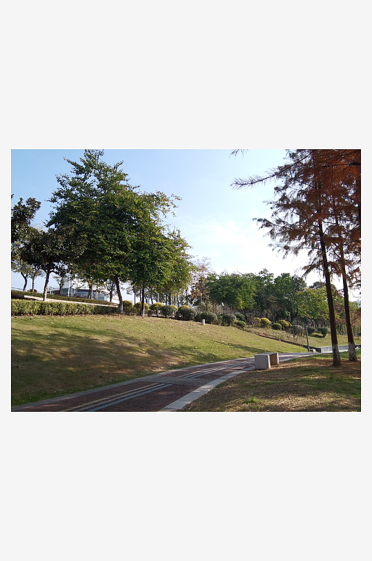 休闲宜居的生活公园环境-众图网