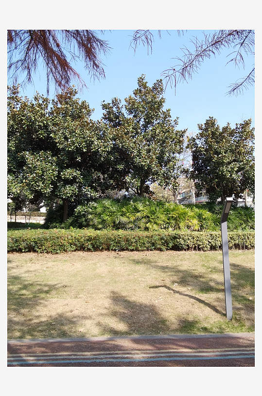 休闲宜居的生活公园环境-众图网