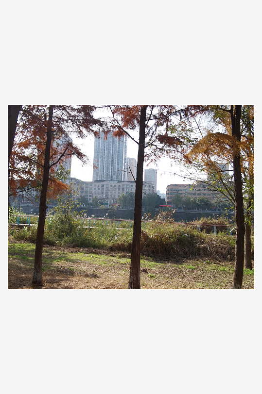 休闲宜居的生活公园环境-众图网