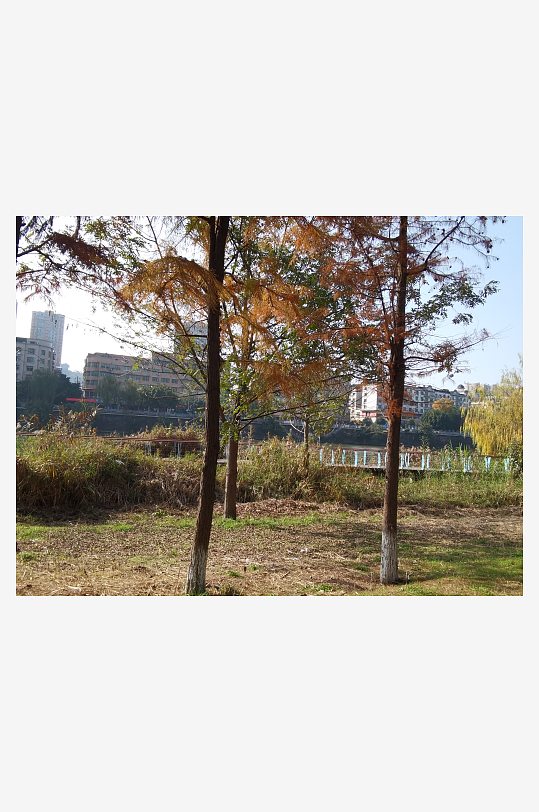 休闲宜居的生活公园环境-众图网