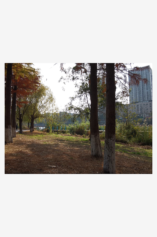 休闲宜居的休闲公园-众图网