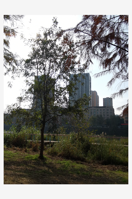 休闲宜居的休闲公园-众图网