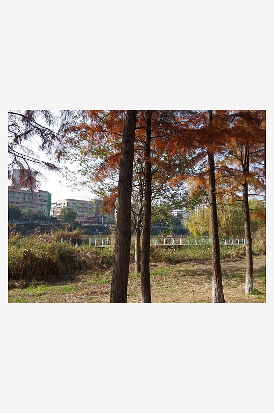 休闲宜居的休闲公园-众图网