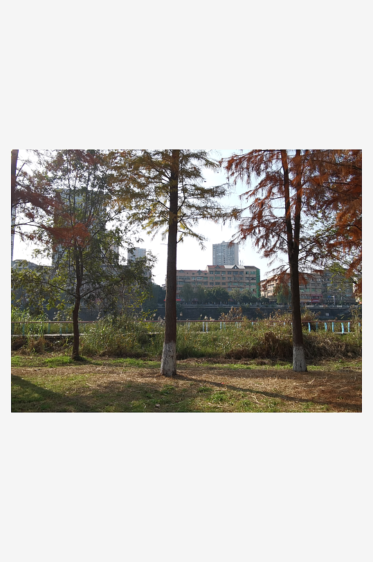 休闲宜居的舒适公园-众图网