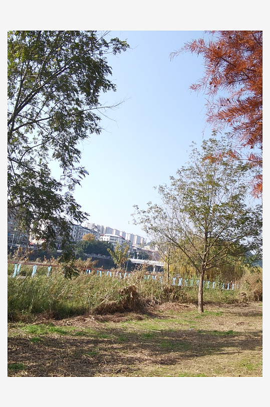 休闲宜居的舒适公园-众图网