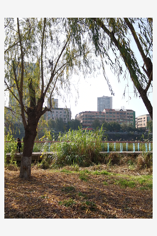 休闲宜居的自然公园-众图网