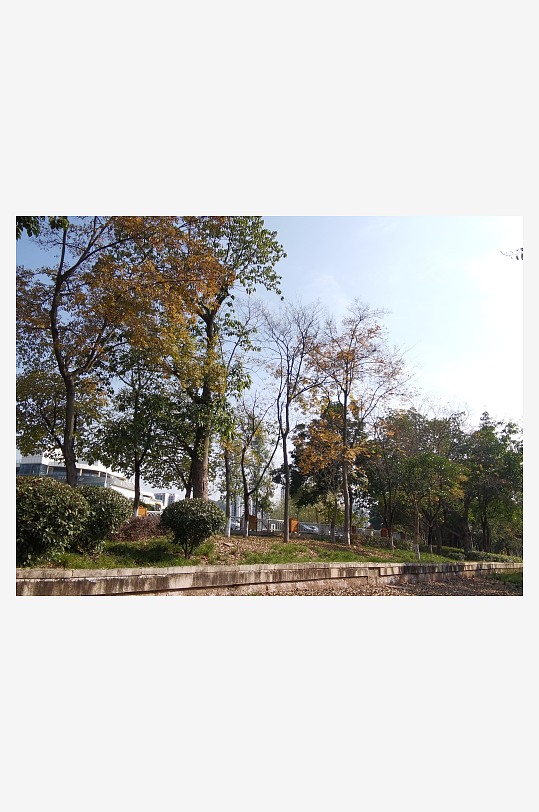 舒适宜居的自然公园-众图网