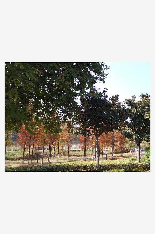 清新宜居的自然公园-众图网