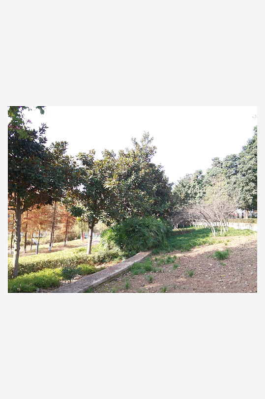 清新宜居的自然公园-众图网