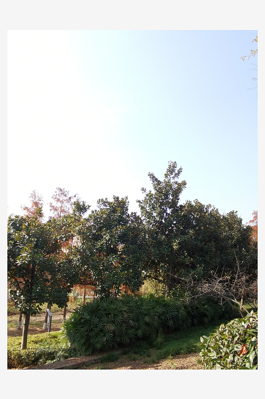 清新宜居的自然公园-众图网