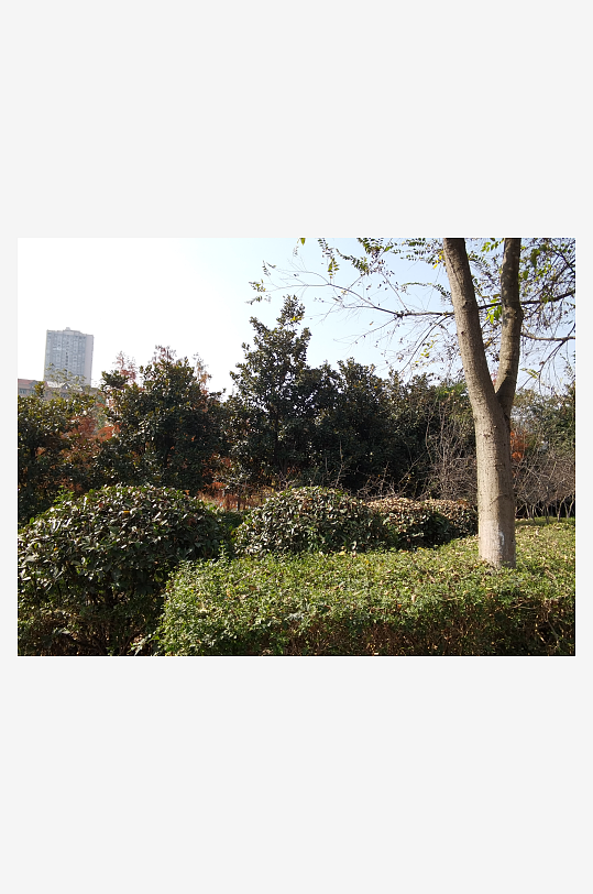 清新舒适的自然公园-众图网