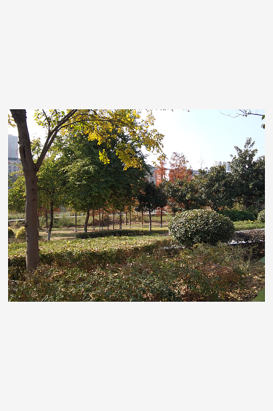 清新舒适的生态公园-众图网