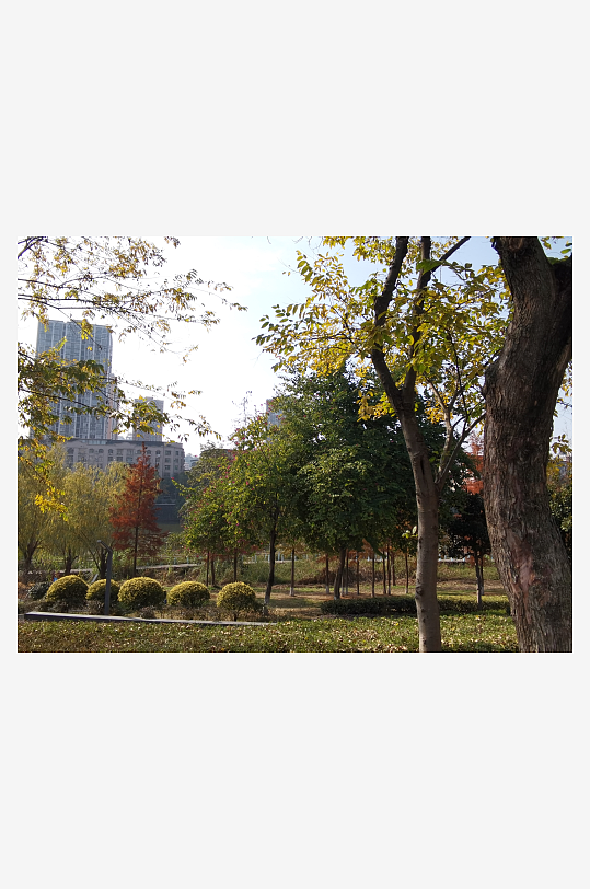 清新舒适的生态公园-众图网