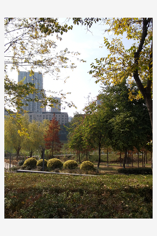 清新舒适的生态公园-众图网