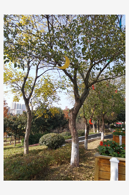 清新舒适的生态公园-众图网