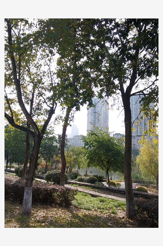 清新舒适的生态环境-众图网