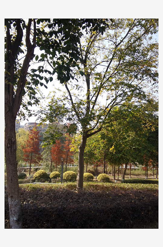 清新舒适的生态环境-众图网