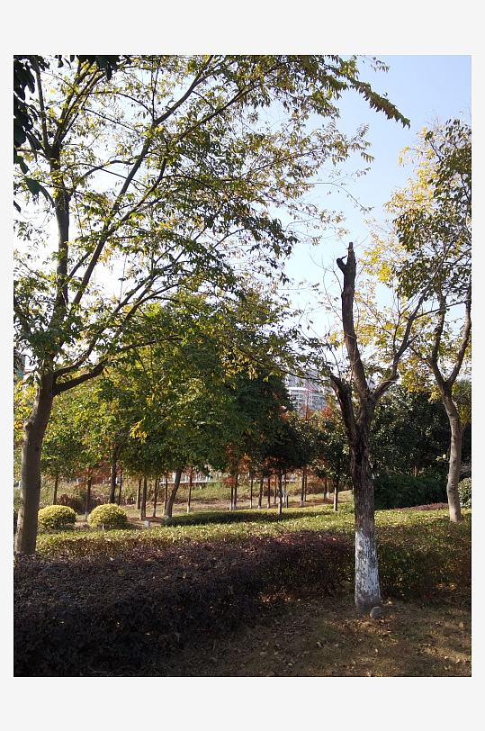 清新舒适的生态环境-众图网