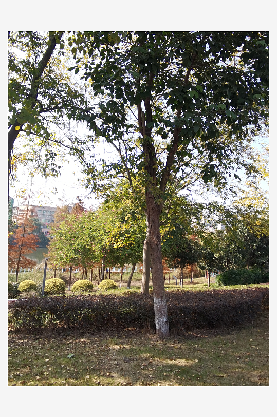 清新舒适户外公园环境-众图网