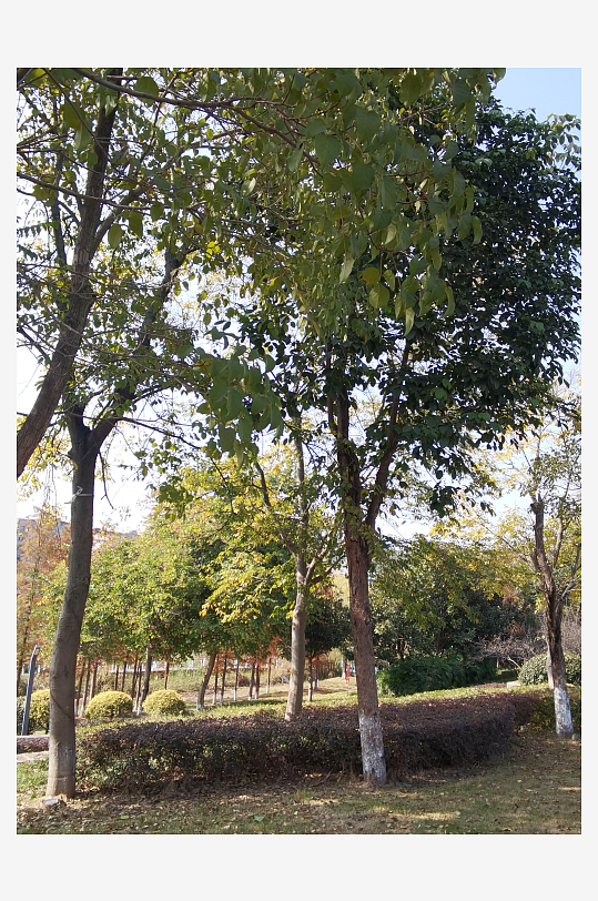 清新舒适户外公园环境-众图网