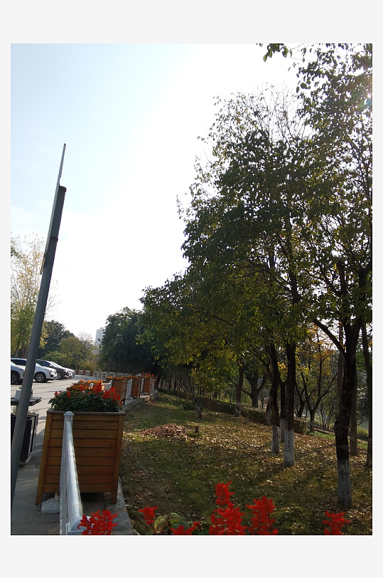 清新舒适户外公园环境-众图网